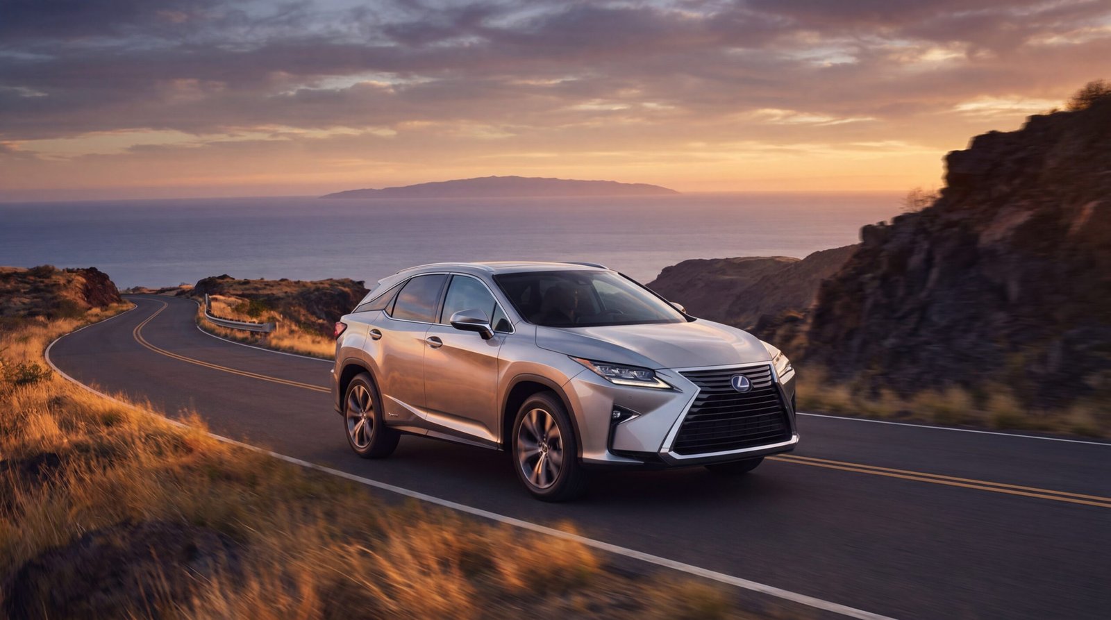 gallery-hero-1777448727791